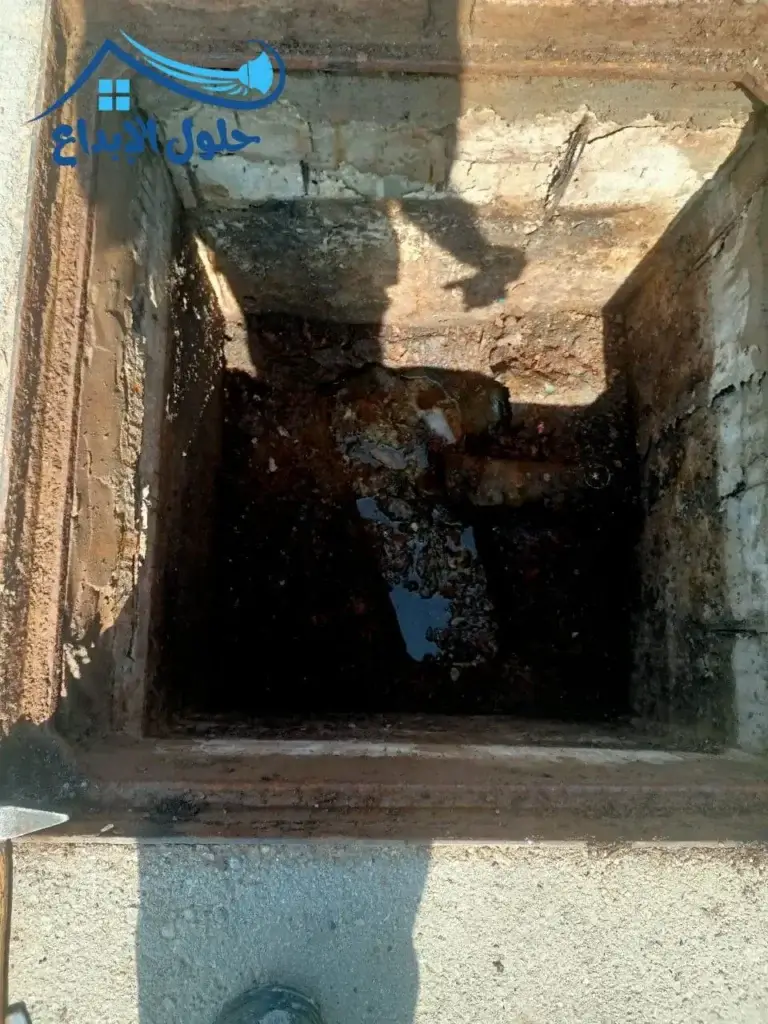 شركة تسليك بيارات