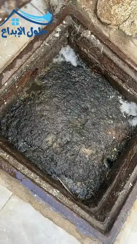 تسليك بيارات